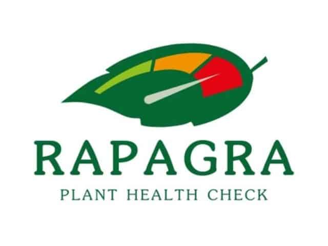Rapagra F&A Next logo